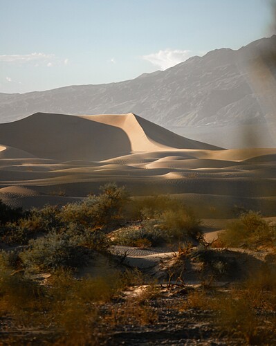 Mesquite Flat Sand Dunes 光影,NPS 资料照片;拍摄时间与当前条件不同
