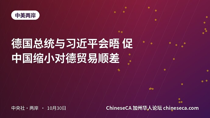 德国总统与习近平会晤 促中国缩小对德贸易顺差
