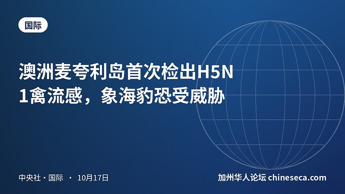 澳洲麦夸利岛首次检出H5N1禽流感，象海豹恐受威胁