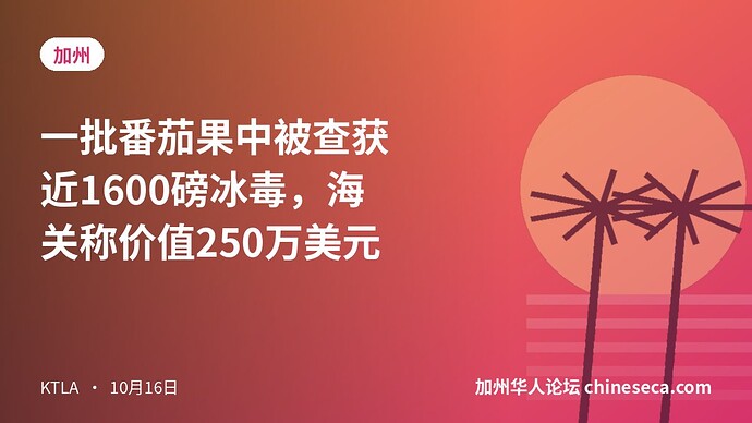 一批番茄果中被查获近1600磅冰毒，海关称价值250万美元