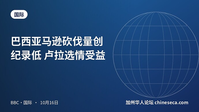 巴西亚马逊砍伐量创纪录低 卢拉选情受益