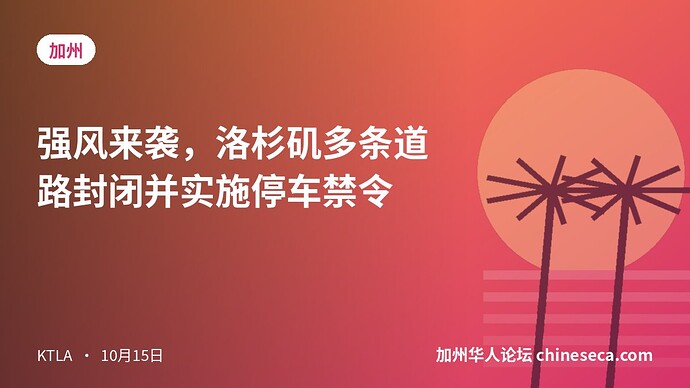 强风来袭，洛杉矶多条道路封闭并实施停车禁令