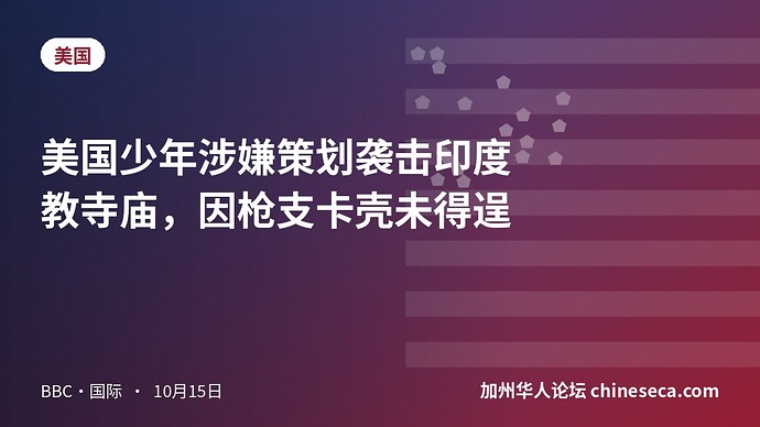 美国少年涉嫌策划袭击印度教寺庙，因枪支卡壳未得逞