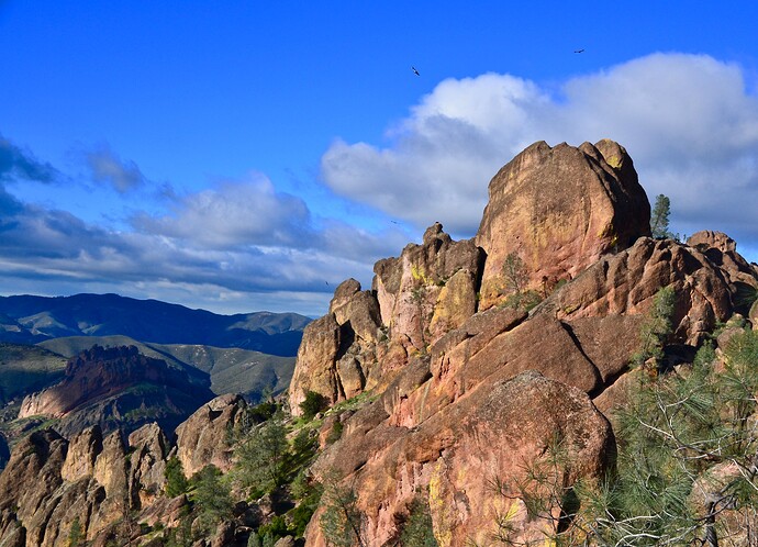 Pinnacles High Peaks 岩峰及上空鸟类，NPS Photo / Katherine Fielding；资料照片，野生动物出现不可保证