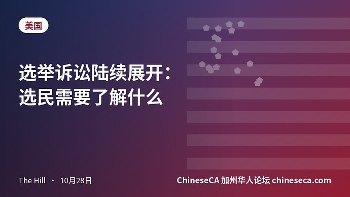 选举诉讼陆续展开:选民需要了解什么