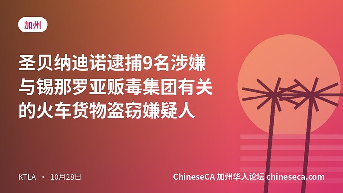 圣贝纳迪诺逮捕9名涉嫌与锡那罗亚贩毒集团有关的火车货物盗窃嫌疑人