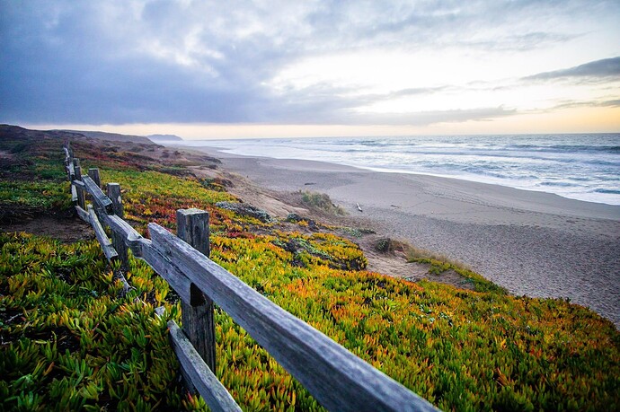 Point Reyes North Beach,NPS / A. Kopshever;资料照片,不代表本周海况
