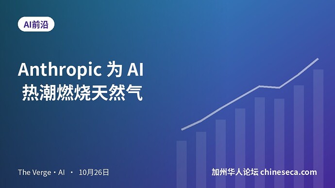 Anthropic 为 AI 热潮燃烧天然气