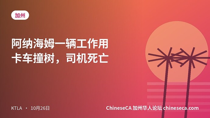 阿纳海姆一辆工作用卡车撞树，司机死亡
