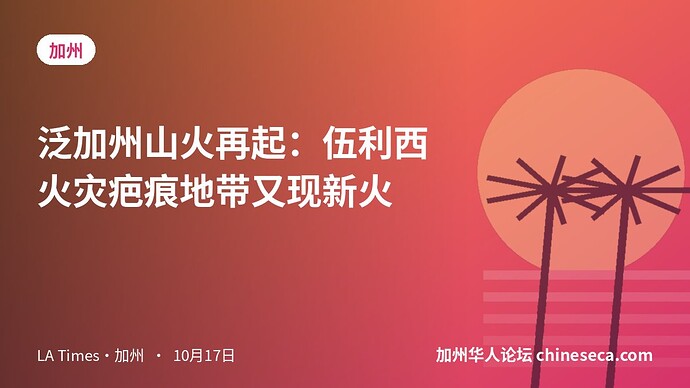 泛加州山火再起：伍利西火灾疤痕地带又现新火
