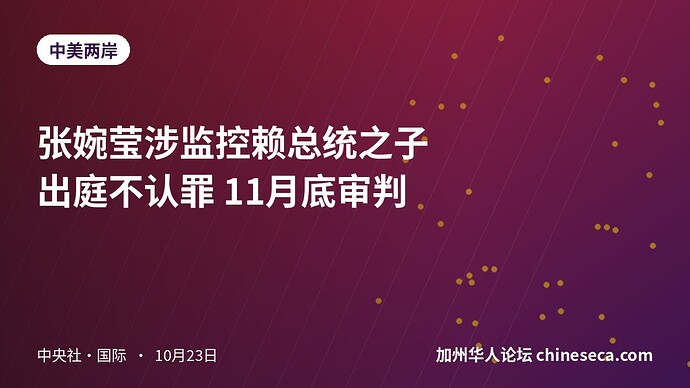 张婉莹涉监控赖总统之子 出庭不认罪 11月底审判