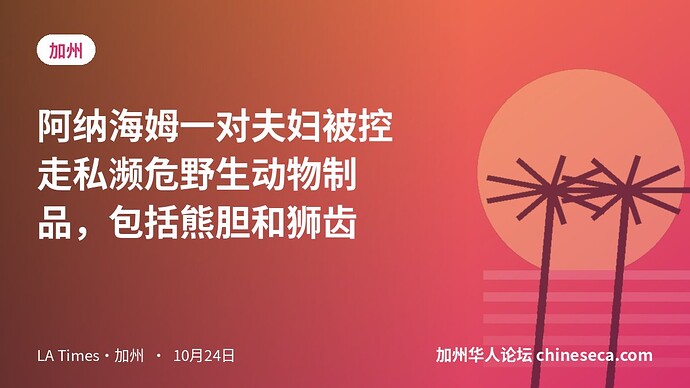 阿纳海姆一对夫妇被控走私濒危野生动物制品，包括熊胆和狮齿